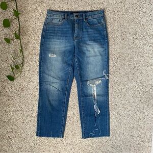 Banana Republic Vintage Straight Blue Jeans